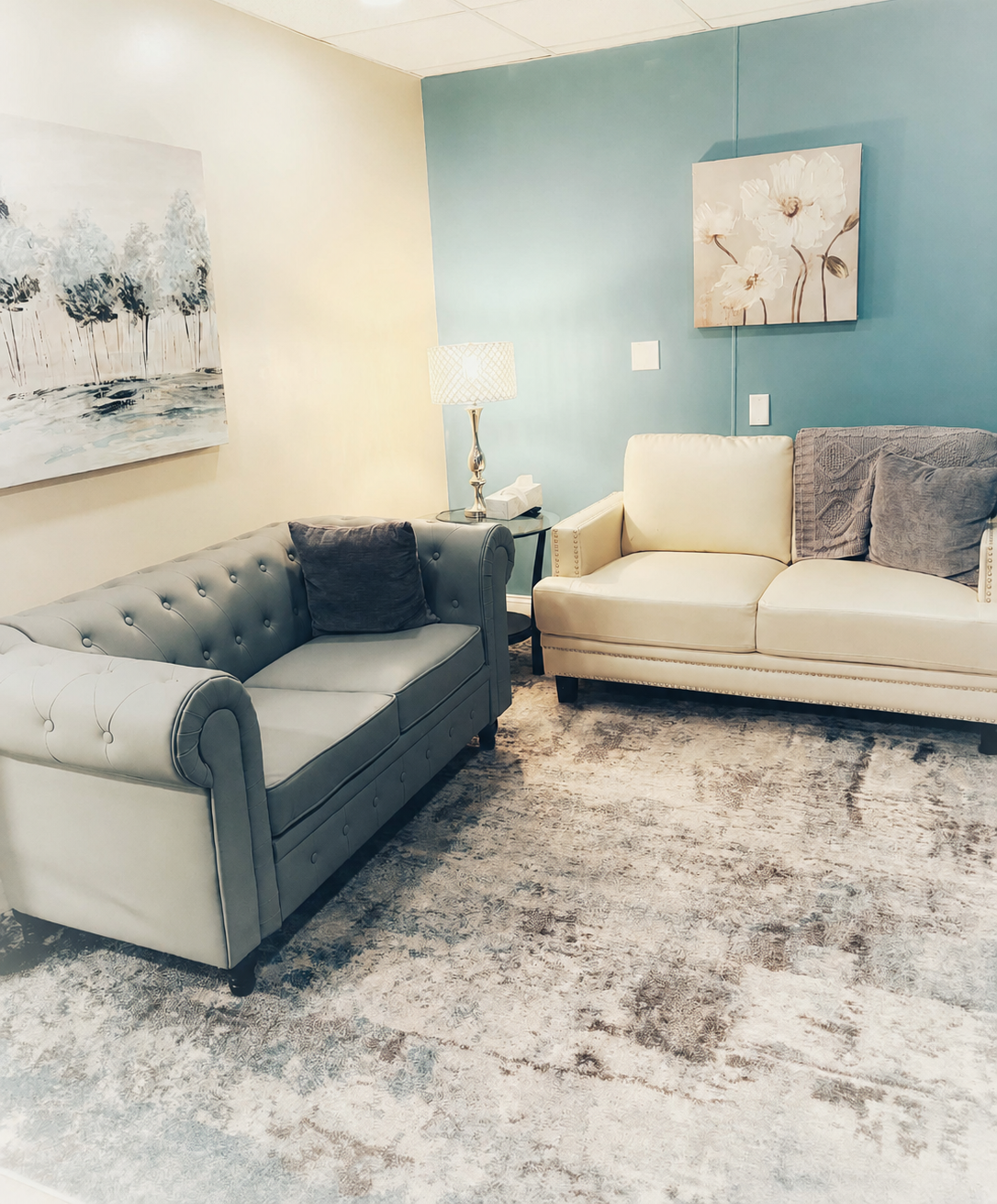 Beautiful room with sofa and chair
